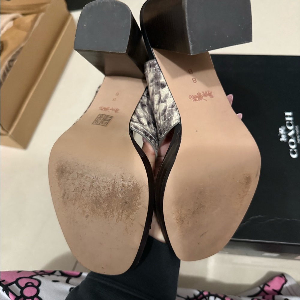 Coach Women's Black and Snake Pattern Sandals - Picture 6 of 7
